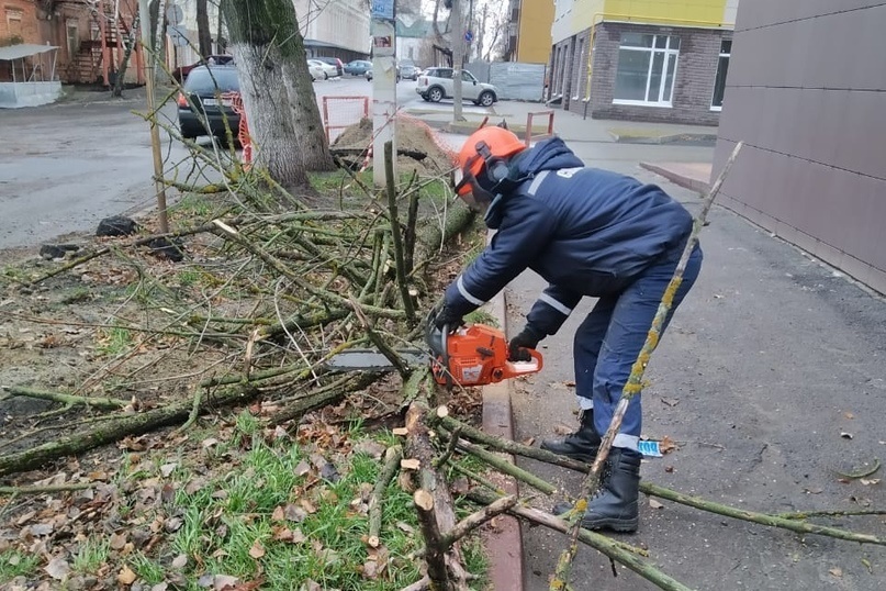 Ветер упали. Поваленные деревья в Москве. Дерево на Краснознамённой упало. Сколько сегодня в Курске повалилось деревьев. В Курске падают деревья.