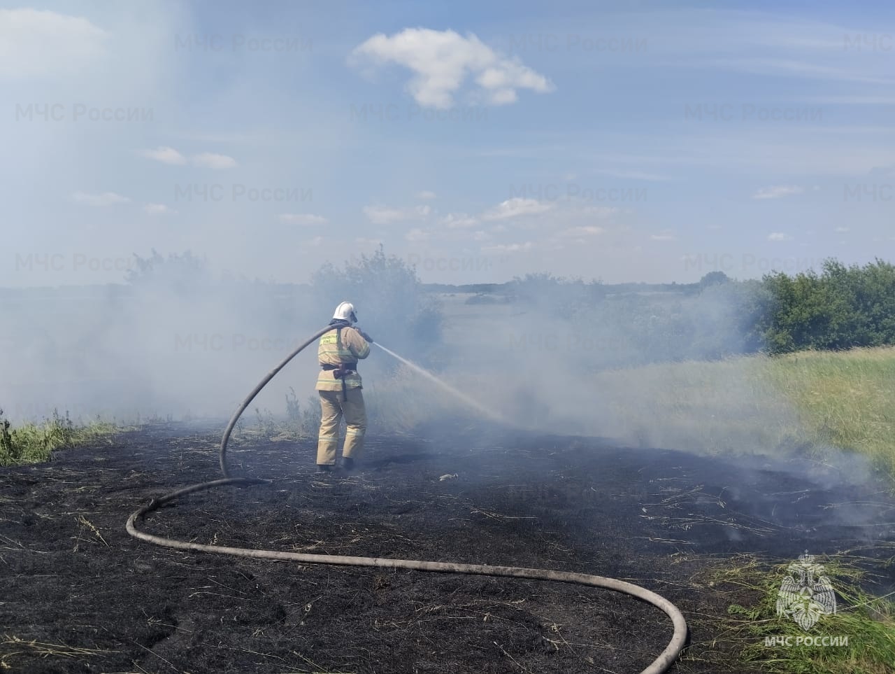 В Курской области в разы возросло число палов травы и мусора - Новости -  Главное управление МЧС России по Курской области